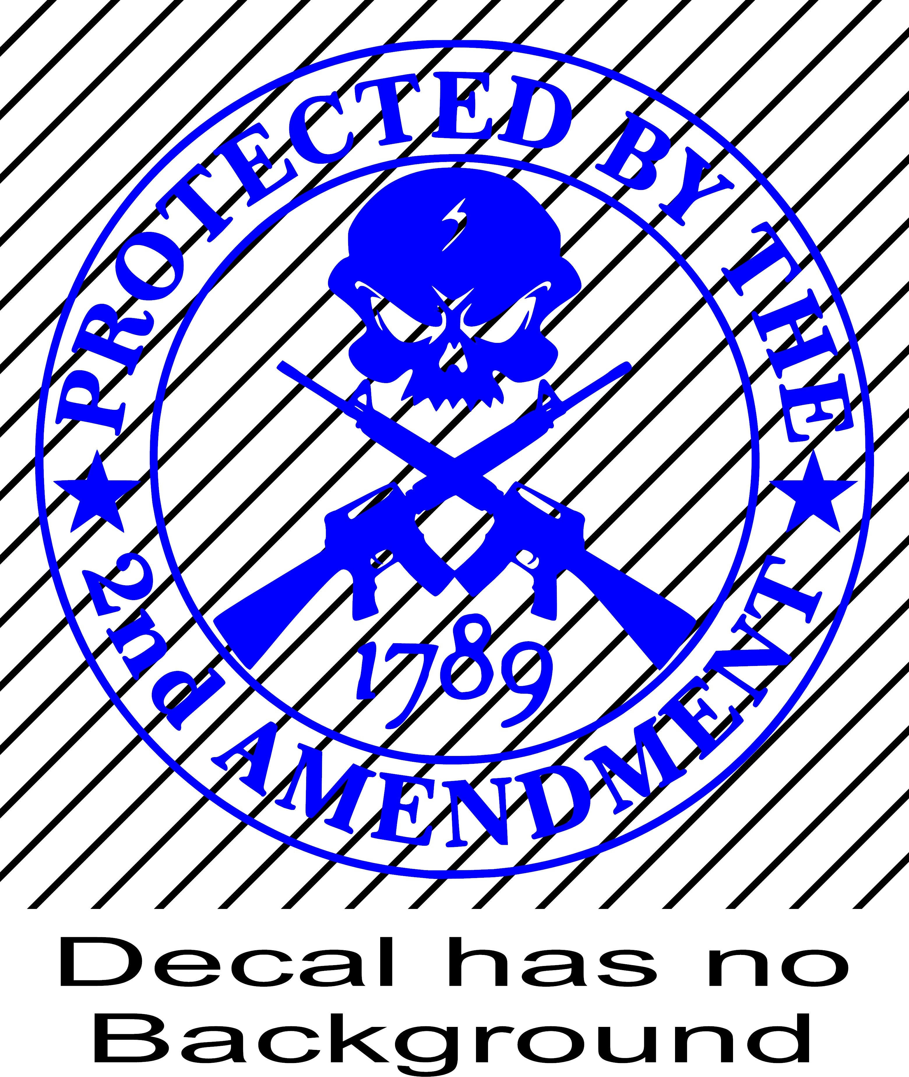 Protected by the 2nd Amendment Vinyl Decal Sticker