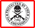 Potected By the 2nd Amendment SVG pdf eps jpg dxf png