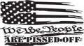 We The People Distressed American Are Pissed Off Tattered  Flag SVG pdf eps jpg dxf png digital file
