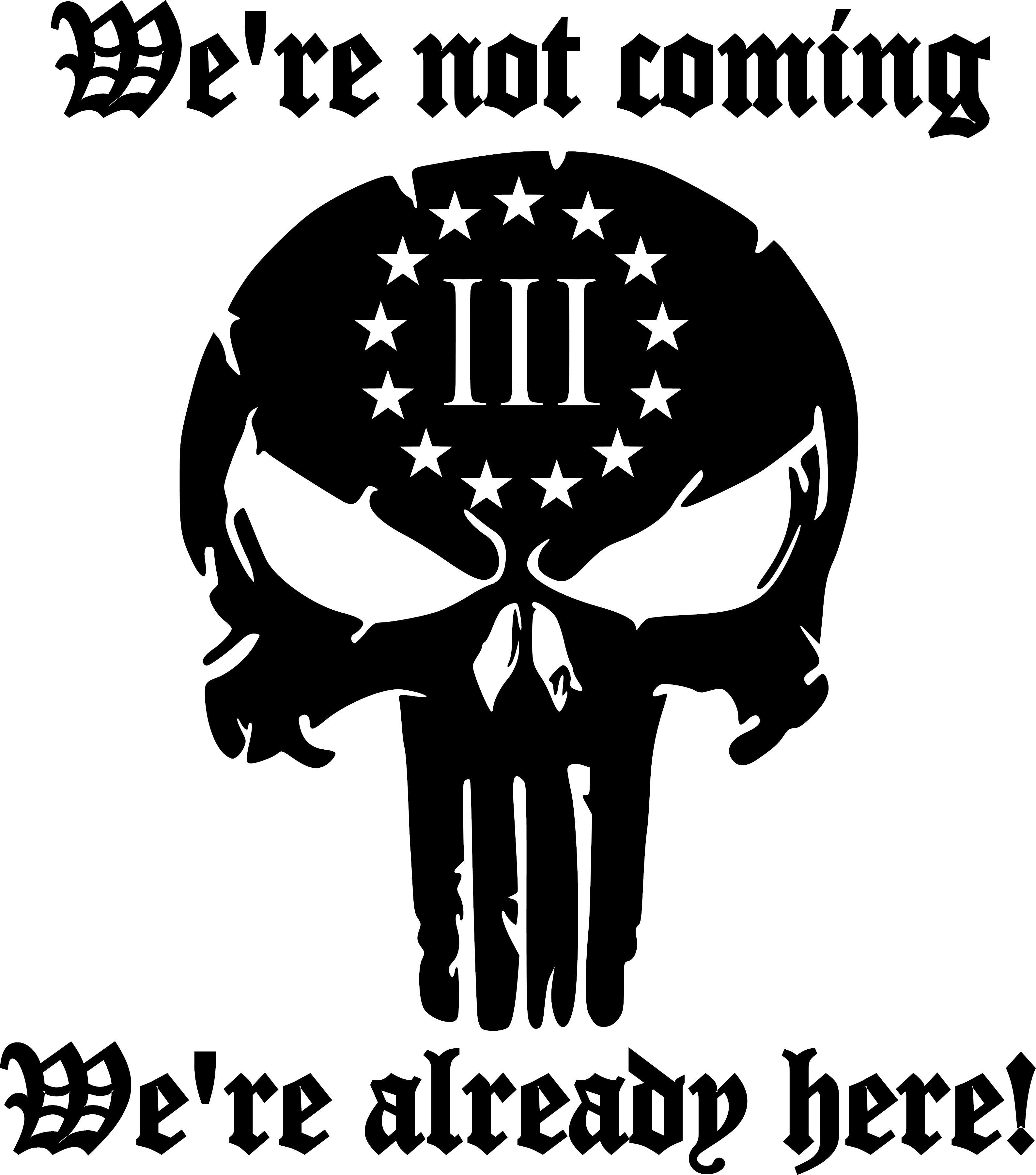 We're Not Coming We're Already Here Vinyl Decal Sticker